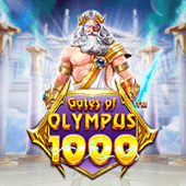 Cổng Olympus 1000 66b nss
